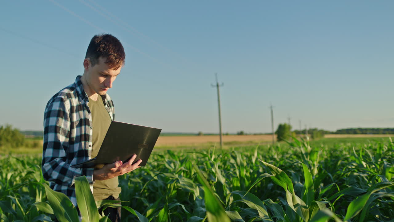 фермер использует ноутбук на кукурузном поле