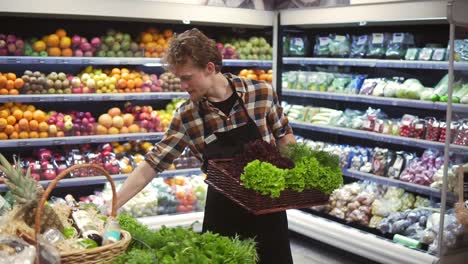 salad bar with organic vegetables and greens in supermarket. male shop employee arranging fresh greens on a bar in local supermarket