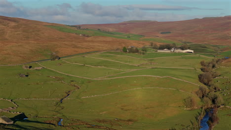 Erstellung-Einer-Drohnenaufnahme-Der-Yorkshire-Dales-Landschaft-Mit-Schaffeldern-Zur-Goldenen-Stunde-Im-Vereinigten-Königreich