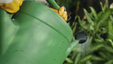 lift green watering can to water plants