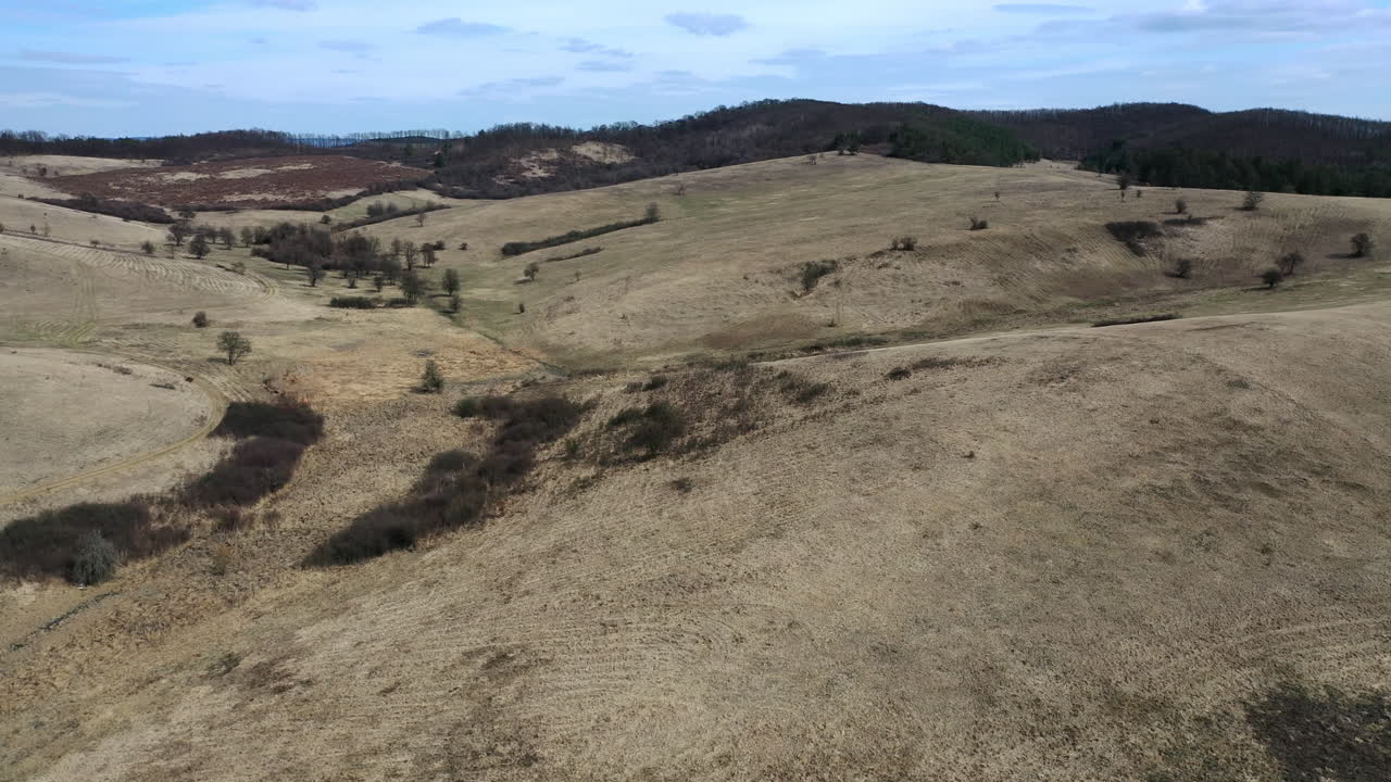 zumbido de montañas y árboles