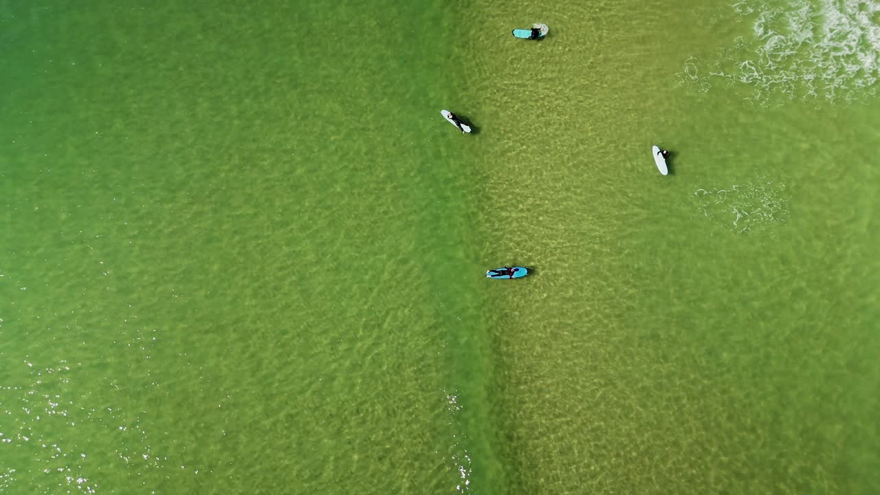 Aerial view of surfers in the ocean