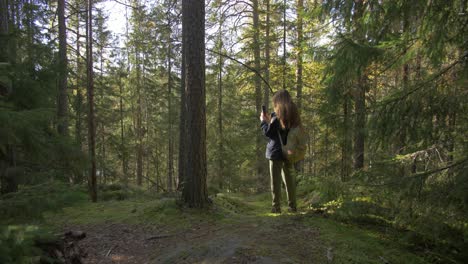 woman in a forest taking a picture with an iphone, tourist back-pack, nordic autumn sun