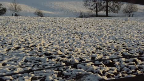 barbed wire fence with snow covered field in background winter 2