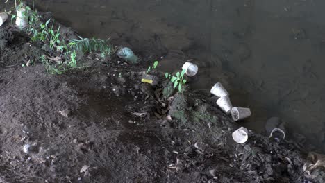 Closeup-Polystyrene-Cups-and-Rubbish-Floats-Polluting-Water