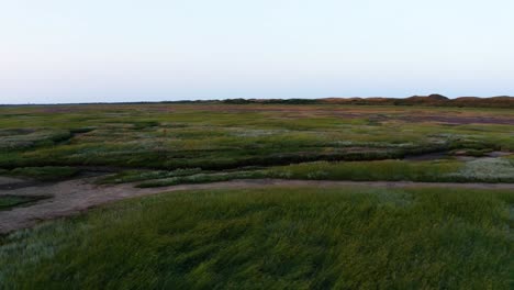 texel island farmland, texel, den hoorn, drone flight, aerial overview, holiday destination, tidal area