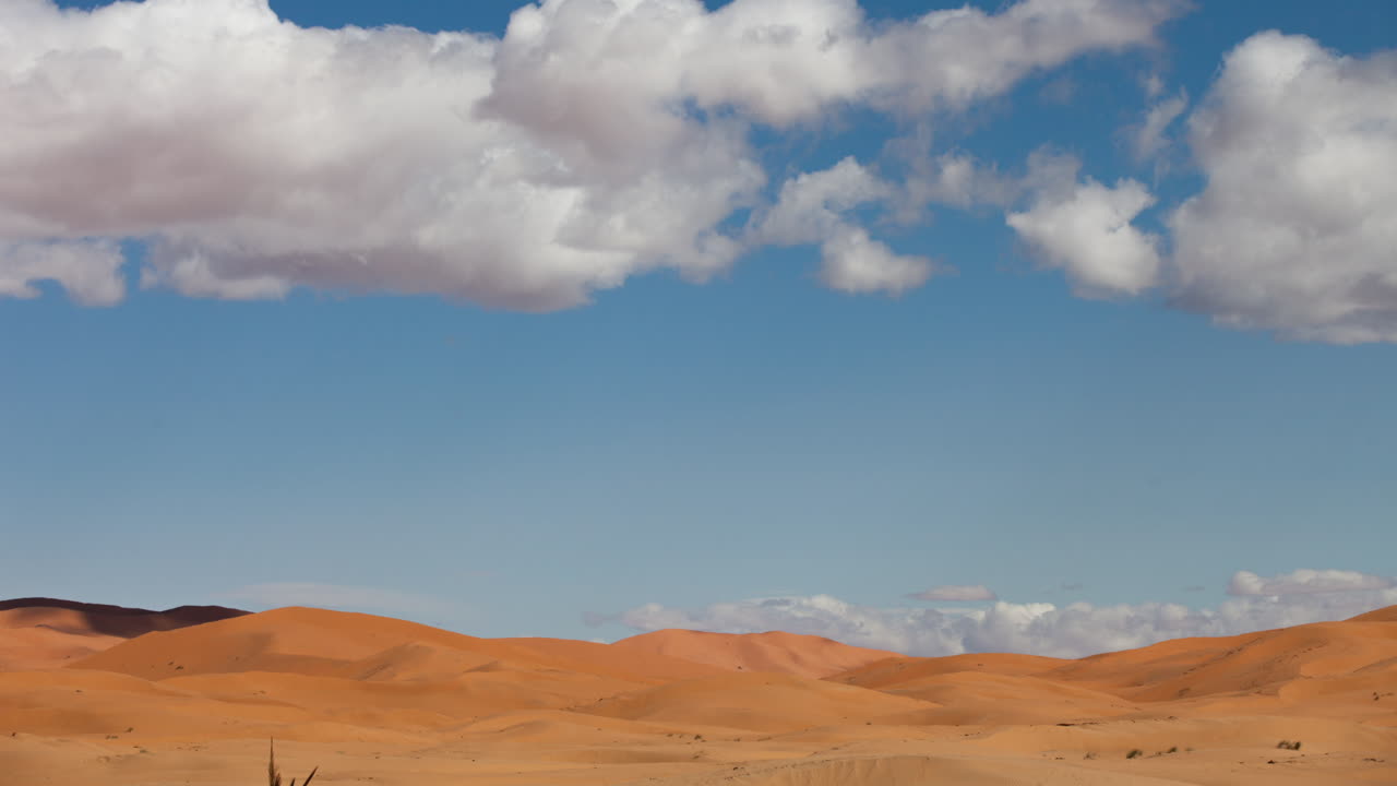 메르조가 사막 16