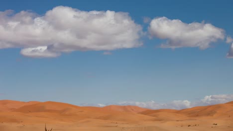 Merzouga-Desert-16