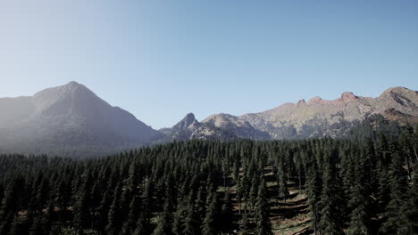 stunning view of a mountain range covered in lush pine trees