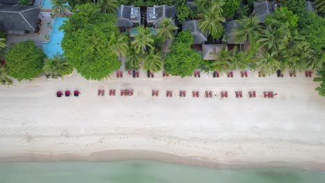 tropical beach resort with palm trees and lounge chairs