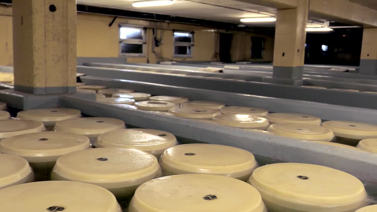 Parmesan cheese ripening in brine, parmigiano reggiano in salt water