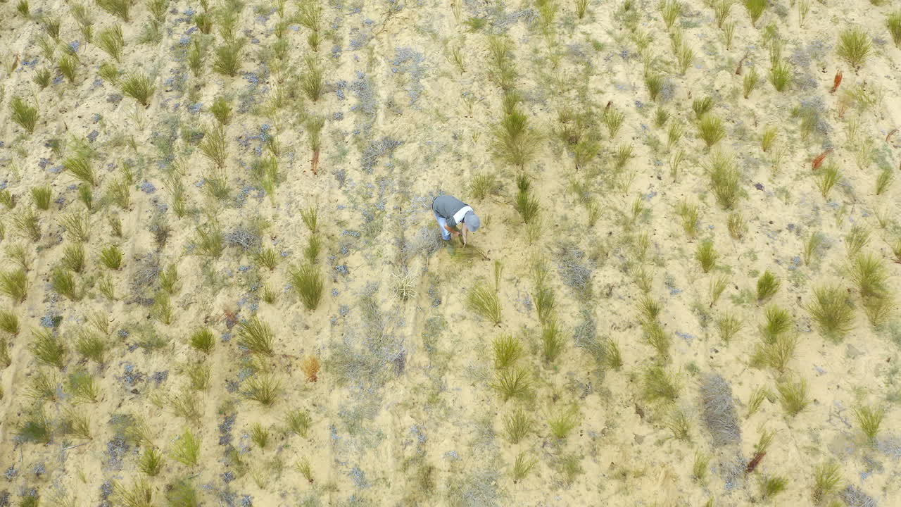 그리고 수 에이커의 가능성
