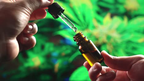 closeup hand holding medical cbd oil bottle from legalized cannabis hemp leaf.