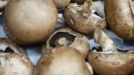 un montón de hongos champignon, de cerca,