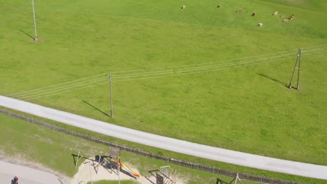 Una-Toma-Aérea-De-Una-Torre-De-Cable-Eléctrico-En-Un-Animal-De-Granja-En-El-Campo