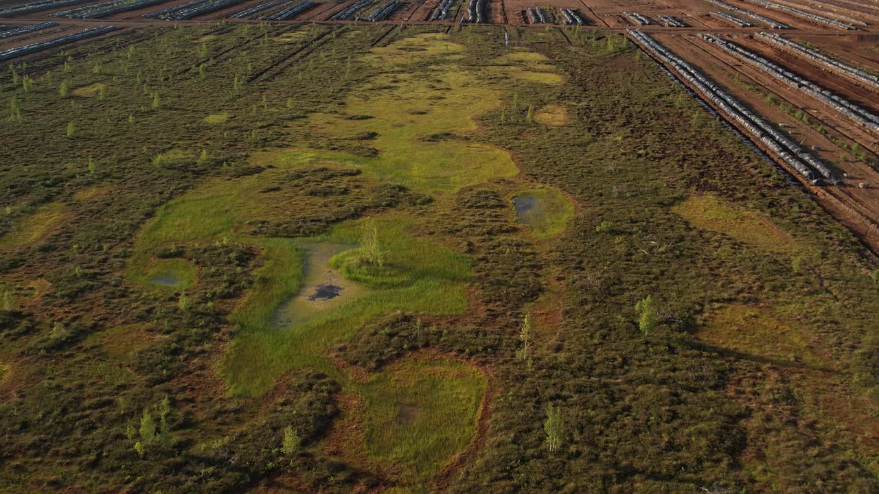 Aerial view of a lush peat bog with winding wooden boardwalks, small ponds, grassy patches, and scattered trees across the wetland landscape