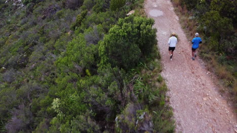 trail running on a dirt road