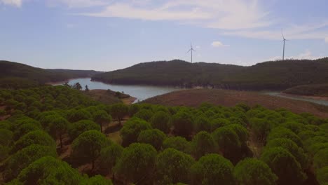 A-lake-near-Albufeira,-Portugal,-with-people-SUP-ing