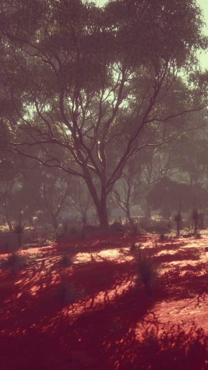 paisaje forestal rojo con árboles y niebla