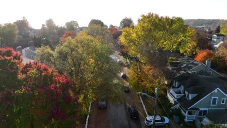 suburban american homes in autumn