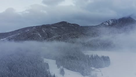 mythical mist at snowy evergreen forest with mountains on cloudy day