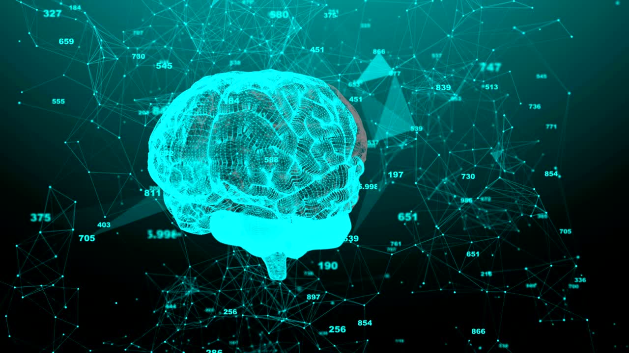 인간의 뇌: 숫자와 함께 플렉서스: 아름다운 배경: 과학, 의학 및 비즈니스의 개념: 루프 애니메이션