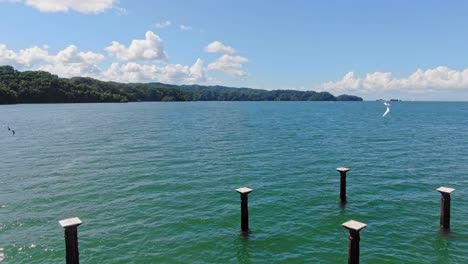 Revealing-Aerial-Shot-in-Los-Haitises:-Close-Up-of-Old-Metal-Pilings-with-Birds-Flying,-Sea-in-the-Background,-and-Natural-Hills-in-Los-Haitises-National-Park-during-the-Day