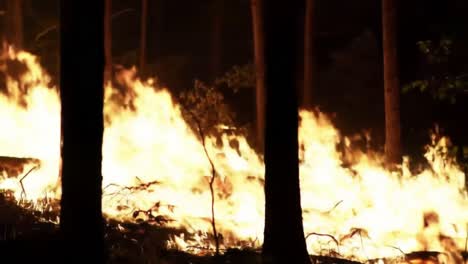 dramatic forest fire with intense flames illuminating the trees at night, creating a chaotic and fiery scene in the wilderness