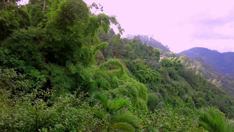 The-Blue-Mountains-in-Jamaica,-Caribbean,-Middle-America