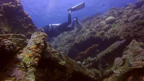 scuba divers swimming into a shipwreck from the top