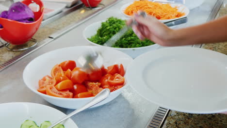 take the chopped tomatoes on the plate in a cafe with self-service