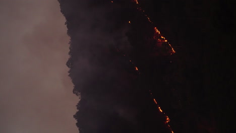 Vista-Estática-De-Incendios-Forestales-En-El-Bosque