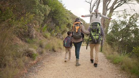 familia, caminando y tomándose de la mano al aire libre