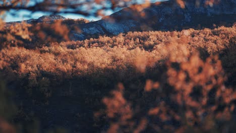 Herbst-In-Den-Norwegischen-Bergen