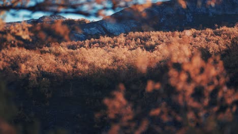 autumn in the norwegian mountains