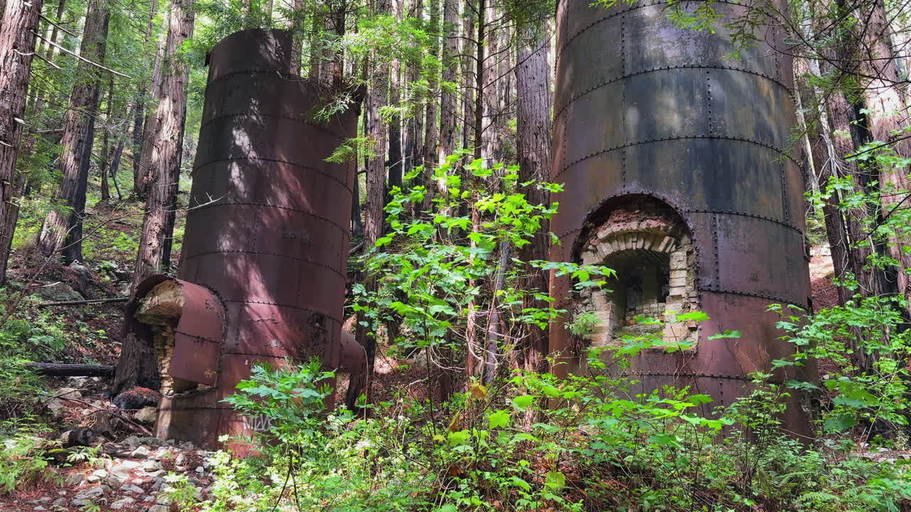 Big Sur Landmark: Old Lime Kilns Standing in the Forest