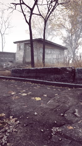 abandoned building in a foggy autumn landscape