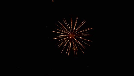 large colorful explosions of shimmering and sparkling light fill the black night sky as fireworks erupt during a holiday event celebration