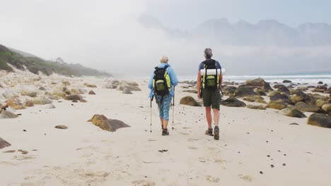 rear view of senior hiker couple with backpack and hiking poles walking while hiking on the beach