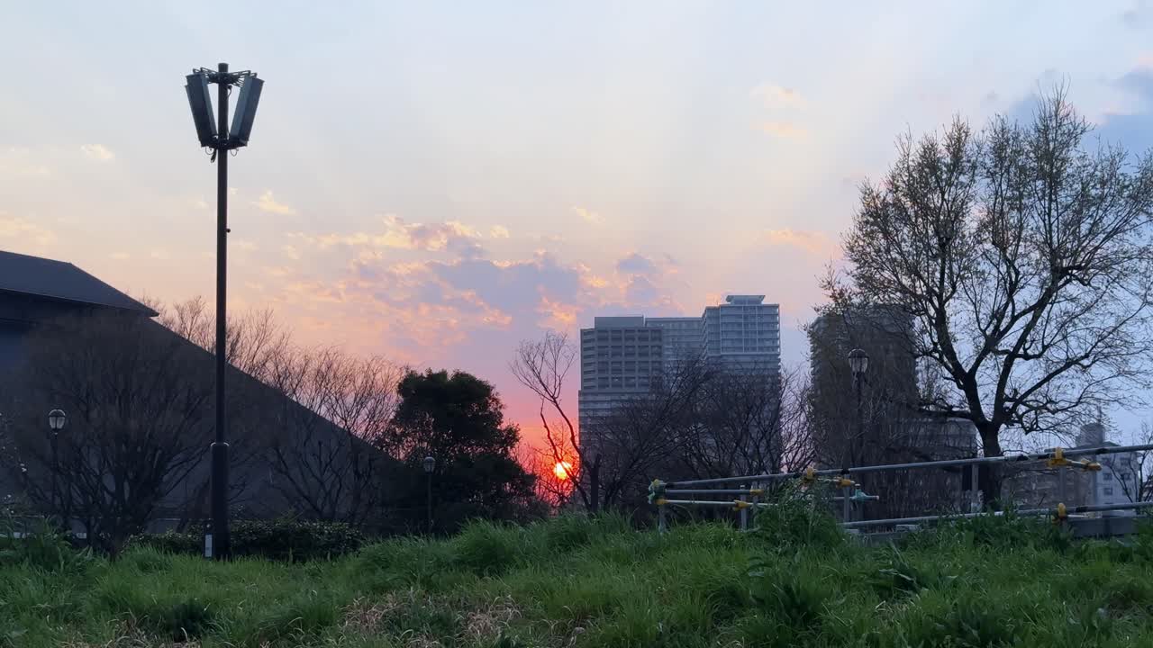 Sunset behind city buildings with nature in the foreground, captured in Tokyo, Japan