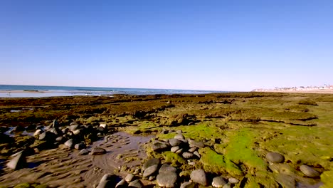 Aerial-flyover-the-lichen-cover-rocks-that-surround-the-tide-pools-at-Rocky-Point,-Puerto-Peñasco,-Gulf-of-California,-Mexico