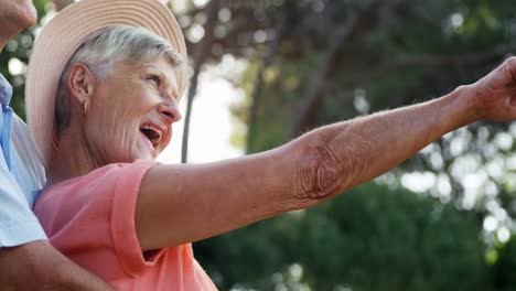 una pareja de ancianos apuntando a lo lejano en el parque
