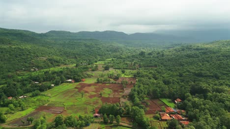 Konkan-village-drone-shot-bird-eye-view