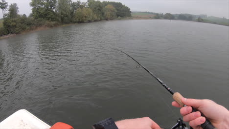 un pescador, se sienta en un lago suizo en el cantón de vaud, borde hecho de árboles