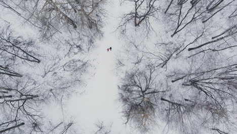 A-man-and-a-woman-run-in-the-winter-through-the-woods-training-and-doing-their-health.-Morning-Jogging,-healthy-lifestyle.-Aerial