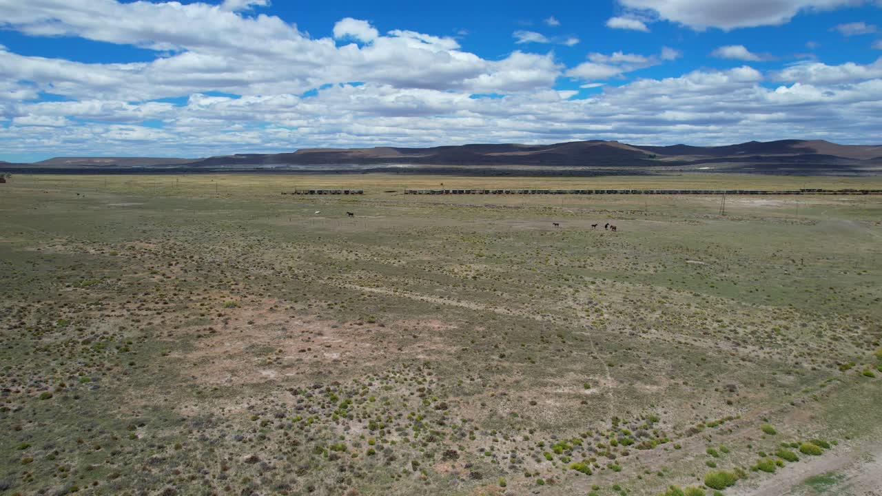 Tomada aérea de cavalos selvagens perto de vagões de trem abandonados de La Trochita na Patagônia