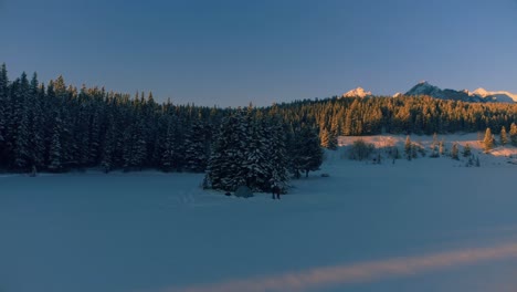 Pinos-En-La-Ladera-De-Una-Montaña-Cubierta-De-Nieve-4k