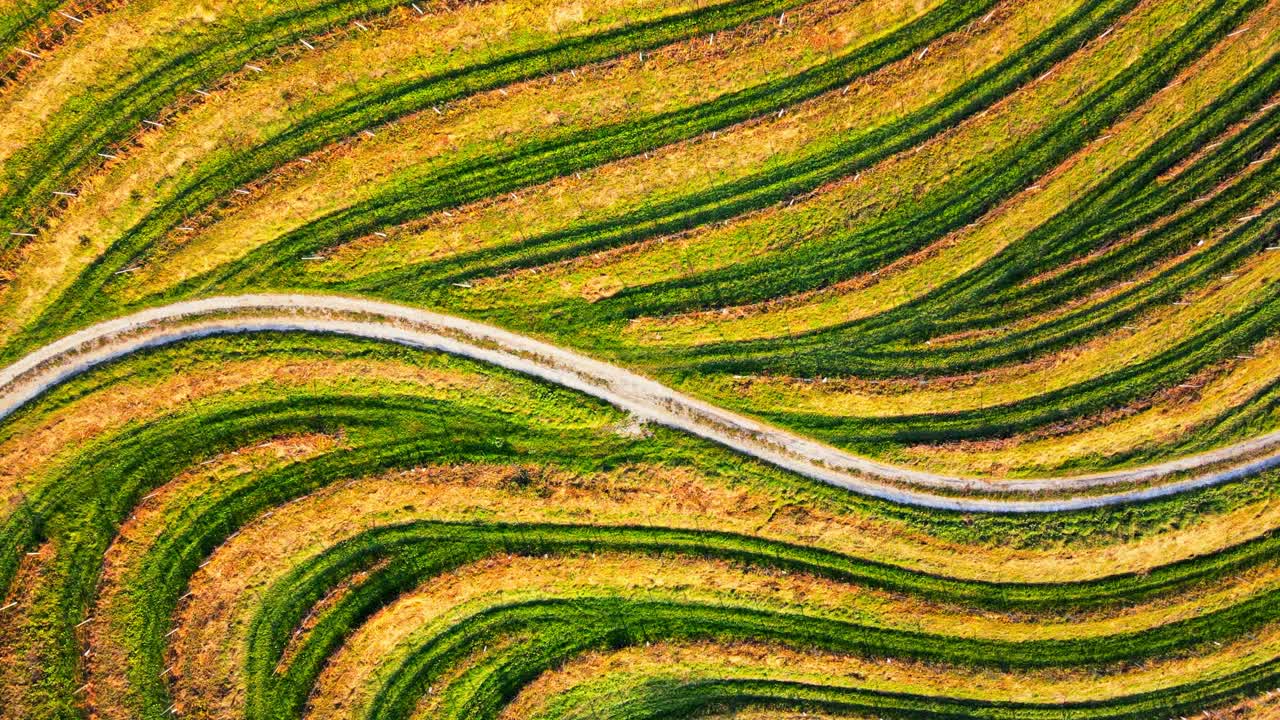 슬로베니아 예루살렘의 와인 지역의 놀라운 4k 드론 영상