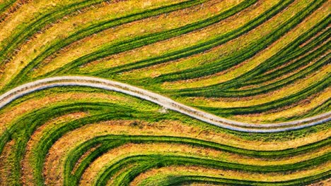 Stunning-aerial-4K-drone-footage-of-an-wine-region-of-Jeruzalem,-Slovenia