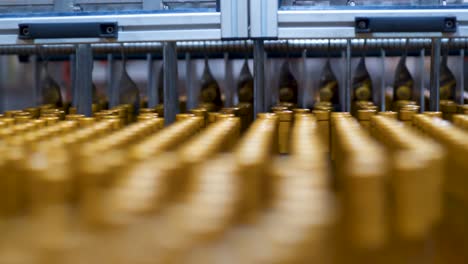 sealed wine bottles on the conveyor belt in a wine bottling factory